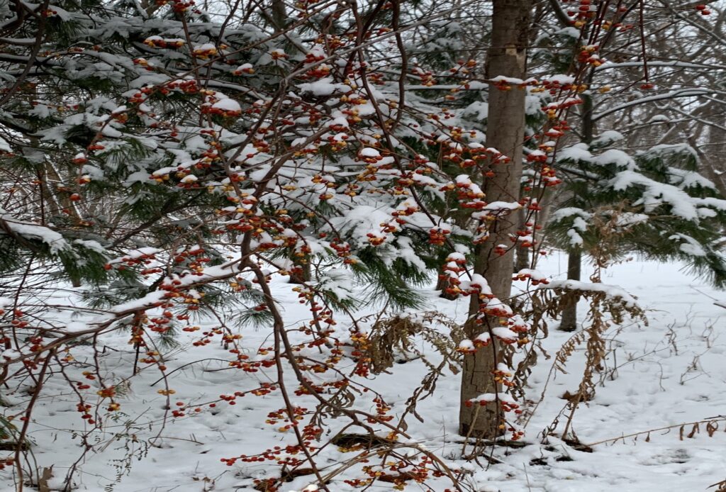 Navigating “Holiday Blues” With Mental Well-being, Love and Joy