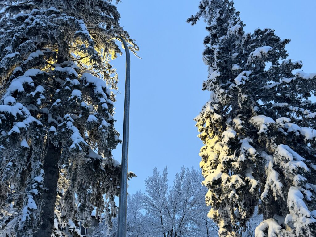Transform Your Winter: Proven Strategies to Overcome Seasonal Depression