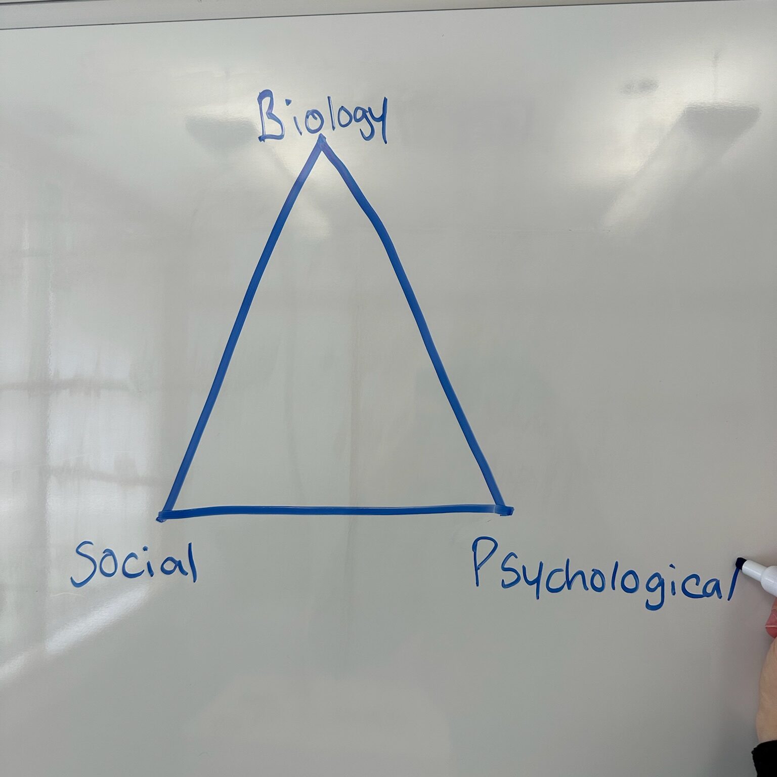 pscyhotherapy